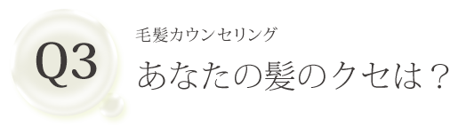 Q3 毛髪カウンセリング あなたの髪のクセは？