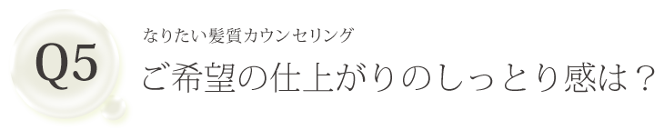 Q5 なりたい髪質カウンセリング ご希望の仕上がりのしっとり感は？