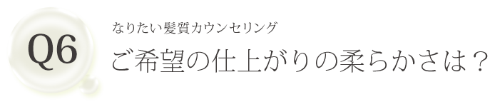 Q6 なりたい髪質カウンセリング ご希望の仕上がりの柔らかさは？