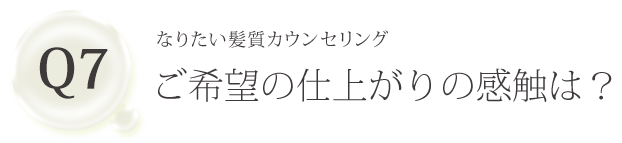 Q7 なりたい髪質カウンセリング ご希望の仕上がりの感触は？