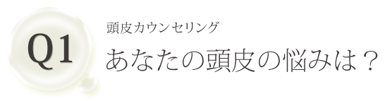 Q1 頭皮カウンセリング あなたの頭皮の悩みは？