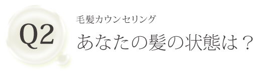 Q2 毛髪カウンセリング あなたの髪の状態は？